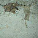 ���� ���������, �����������, 43 ���� - ��������� 11 ������ 2012 � ������ �_.-;(*,!,*);-,_�