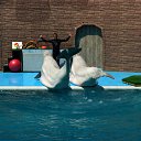 ���� �����, ������, 47 ��� - ��������� 7 ������� 2010 � ������ �����-������� 2010�