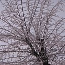 ���� �����, ��������, 45 ��� - ��������� 3 ������� 2010 � ������ ����� �������