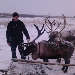 ���� �������, ���, 51 ��� - ��������� 24 ������ 2012