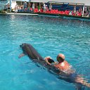  , -, 54  -  10  2012