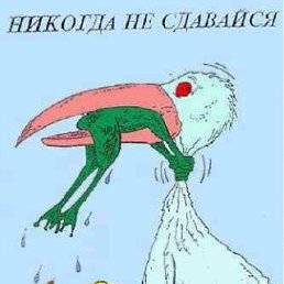 ���� ����, ������, 66 ��� - ��������� 23 ��� 2012