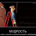 ���� ��, ������������, 39 ��� - ��������� 7 ������ 2011 � ������ ����������