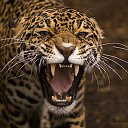 ���� ����, ������, 55 ��� - ��������� 18 ��� 2012 � ������ ���� ����������