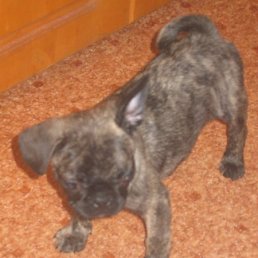 ���� ������ ���������, �����-���������, 52 ���� - ��������� 7 �������� 2012