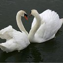 ���� �������, ������, 54 ���� - ��������� 25 ������� 2012