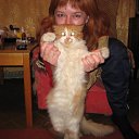 ��� ����� ������� ����� �� ������� ���� �����