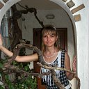  , , 36  -  24  2011   ,    ( ,  =) )