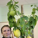 ���� ������, �����������, 56 ��� - ��������� 16 ������� 2012 � ������ ���� ����������