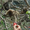 ���� �������������, �����-��������� - ��������� 1 ������� 2009 � ������ �������