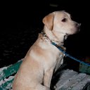 ���� �����, ��������, 31 ��� - ��������� 25 ������� 2010 � ������ ���� ���� � ������ ������