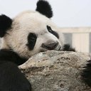 ���� �������, �������� - ��������� 8 ������� 2010 � ������ ���� �������