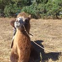 ���� ����, ���������, 35 ��� - ��������� 29 �������� 2012 � ������ �������