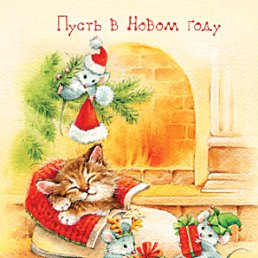 ���� Chary2002, �������, 42 ���� - ��������� 15 ��� 2012