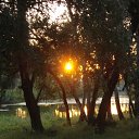 ���� ����, �������� ������ - ��������� 8 �������� 2010 � ������ ���� �����)�