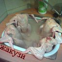 ���� �������, ������, 42 ���� - ��������� 22 ������� 2012 � ������ �������