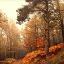 ���� �����, ����� - ��������� 29 ������ 2013 � ������ ����� �� ������� ���˻