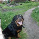 �������� �� ������� ���� ����������