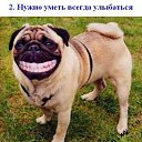 ���� ��������, ������, 53 ���� - ��������� 14 �������� 2011