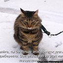 ���� �����, ������������ - ��������� 17 ���� 2010 � ������ ��������