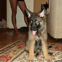 ���� �����, ������, 45 ��� - ��������� 8 ������� 2011 � ������ ���� ���