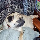 ���� �����, ������, 65 ��� - ��������� 11 ���� 2012