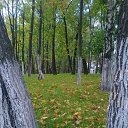 ���� �������, ���������, 55 ��� - ��������� 15 ������� 2013 � ������ ���� ����������