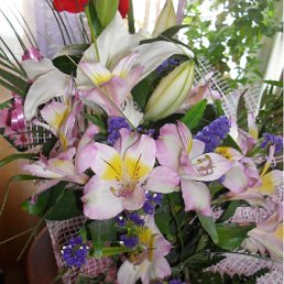 ���� �����, ������� - ��������� 30 ����� 2011