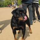 ���� ������, ���������, 24 ���� - ��������� 11 ������� 2012 � ������ ���� ����������