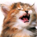 ���� Orange_juice, ������, 31 ��� - ��������� 10 �������� 2010 � ������ �������