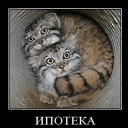 ���� �����, ���������, 39 ��� - ��������� 22 ������� 2010 � ������ ��������