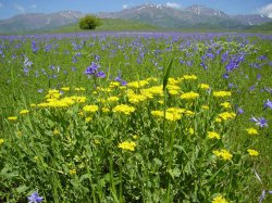 ���� �����, ����, 25 ��� - ��������� 4 ������ 2012