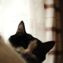  S S, , 60  -  5  2011   )))))))))))