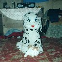 ���� ��, ��������, 59 ��� - ��������� 28 ������ 2009 � ������ ���� ���������