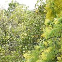 �������� �����. ����� ������ � ������� ����������.... �� ������� �� �������