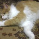 ���� ����, ���� - ��������� 15 ������ 2011 � ������ ������)))�