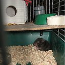 ���� (=����������=), ������, 31 ��� - ��������� 9 ������ 2012 � ������ �������(����) ��� ���� R.I.P.�