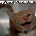 ���� ���� ��������, �����������, 59 ��� - ��������� 14 ������� 2012 � ������ �������