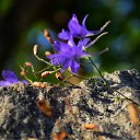 ���� ��������, �������, 58 ��� - ��������� 15 ������ 2011 � ������ ������� �����(����� ������ ������)�