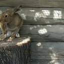 ���� ������, ������, 39 ��� - ��������� 6 ������� 2012 � ������ ���� ����������