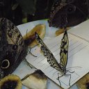 ���� ����, �����-���������, 57 ��� - ��������� 6 ������ 2011 � ������ ���� �������