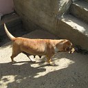 ���� �������, ��������, 38 ��� - ��������� 26 ������� 2012