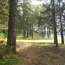 ���� �������, ������, 71 ��� - ��������� 9 ������ 2013 � ������ ���� ����������