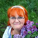 ���� ��������, ��������, 66 ��� - ��������� 7 ��� 2013 � ������ ���� ����������