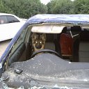 ���� �������, �������, 43 ���� - ��������� 13 ������ 2012 � ������ �������