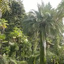 ���� ����, ����, 48 ��� - ��������� 27 ������� 2013 � ������ ���� ����������