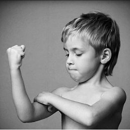 ����4511, �������, 59 ���