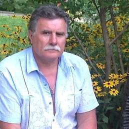 �������, ������, 71 ���