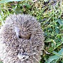 ���� ����. ��������� �� ��!, ������, 72 ���� - ��������� 30 ���� 2011 � ������ ������