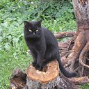 ���� ��������, ������, 72 ���� - ��������� 9 ���� 2013 � ������ ���� ����������